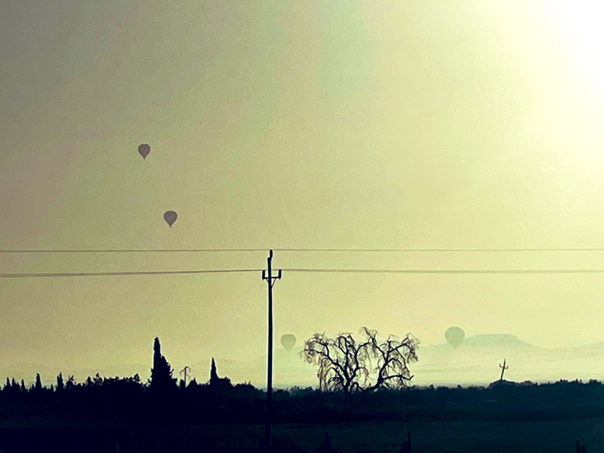 Luke Cope tweet media