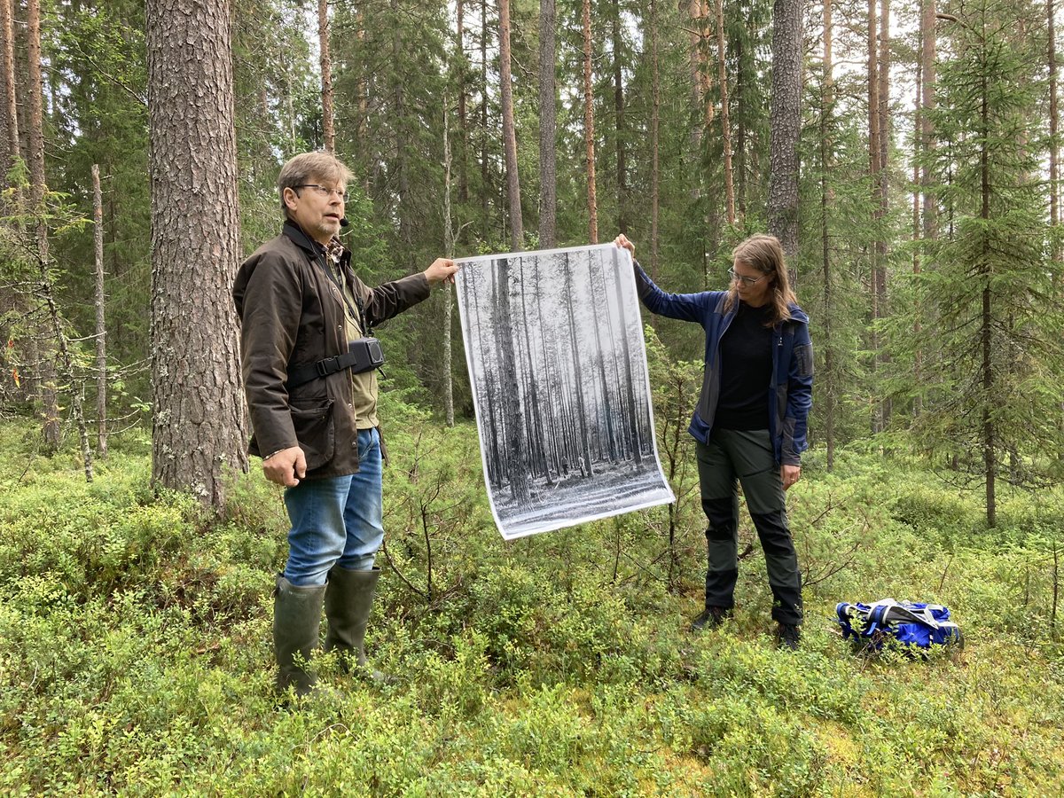 År 1923 startade Riksskogstaxeringen och samma år inrättades <a href="/_SLU/">SLU</a> :s försöksparker i Vindeln, Västerbotten. Idag fortsatte hundraårsfirandet med en jubileumsexkursion.