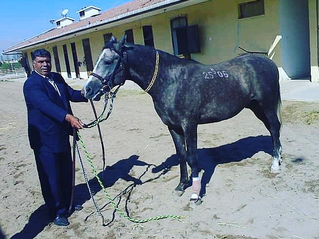 Vefatının 11. Yılında saygı ve rahmetle seni anıyoruz "BABAM"