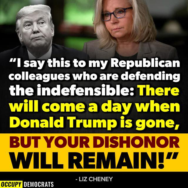 #TrumpMugShot I applaud Liz and other 'recovering' republicans who have a conscience and honor and respect for our Constitution! But I will NEVER vote for a republican as long as I live.