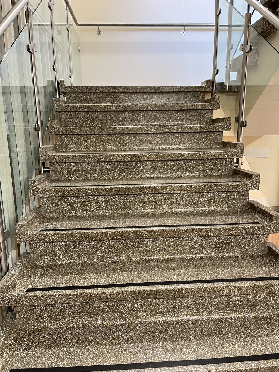 @WeAHPs #WeActiveChallenge #AHPsActive day 24 dog walk and my nemesis in stairs form… Crawley Hospital !! This time all the way to the 6th with @TheFitton we took a moment to pause when got there 😂🥰💥🥰