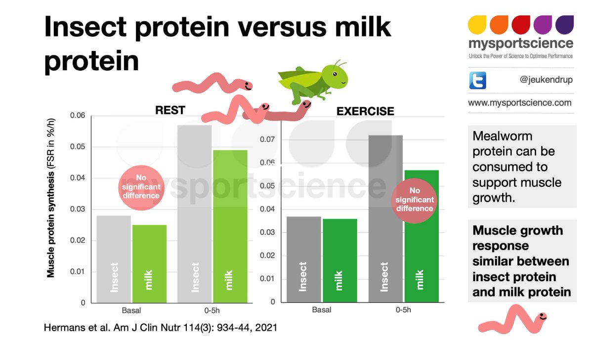 Jeukendrup's tweet photo. Can insect protein stimulate muscle growth? This blog describes recent findings from Maastricht University around the anabolic properties of insect protein. Read here https://t.co/vSG5jYpHbw https://t.co/cGUXDTHW6t