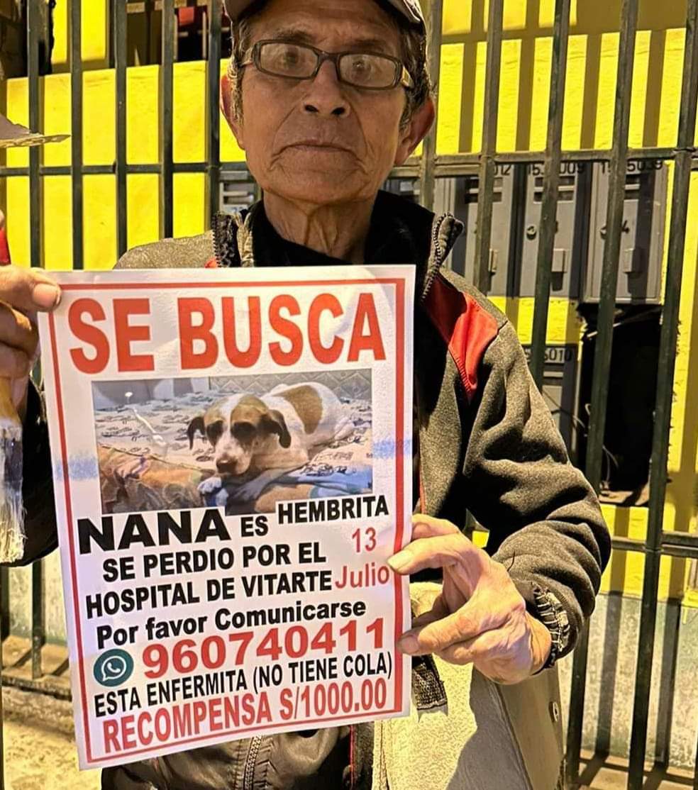 LiRoze's tweet photo. El señor Miguel sigue buscando a Nana, no perdemos la fe en que la encontraremos, por favor sigamos difundiendo ❤ Oremos, manifestemos en que aparezca 🙌🙌
Todas las noches la sigue buscando 🐶 https://t.co/nPmbaUviiQ