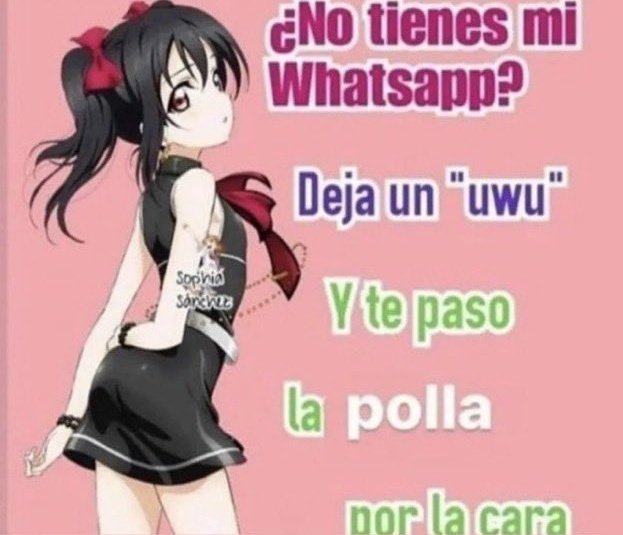 chincheto pirata somali (@wikipistacho) on Twitter photo 