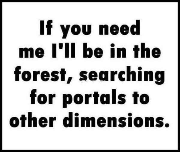 HeatherWeidner1's tweet image. Sounds like a plan #forest #otherdimensions #portals