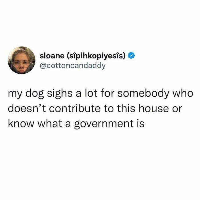 PrettyLittleThing tweet media