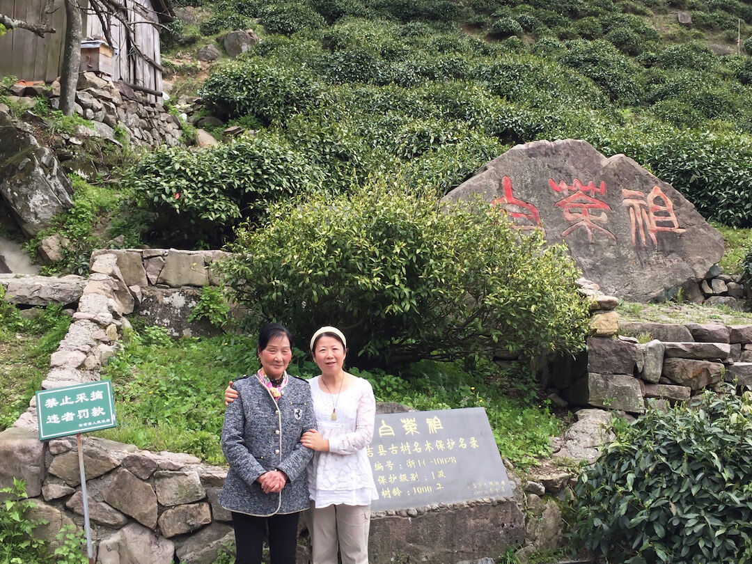 Seven Cups tweet media