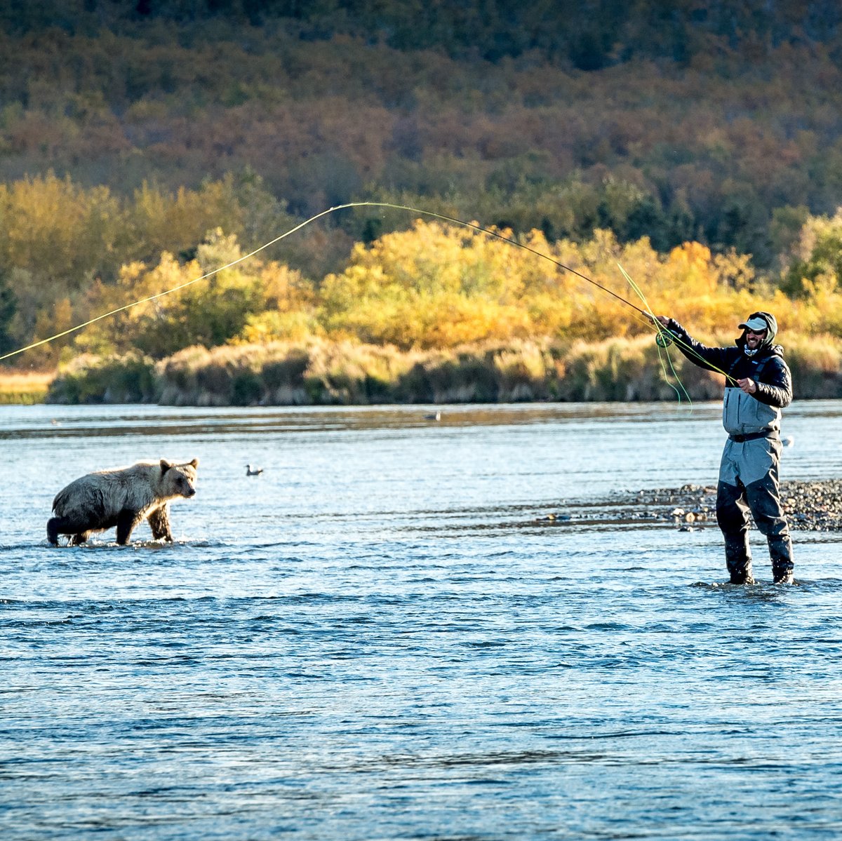 One of the most inspiring things about #BristolBay is how interconnected everything is, with people and animals maintaining a crucial balance. Tying it all together is a culture of respect and trust. Funny enough, those are the exact traits missing from our Governor.
📸 Jim Klug