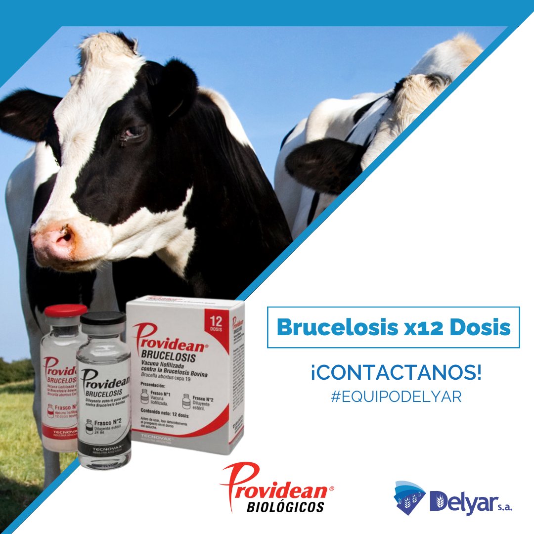 Delyar SA tweet media