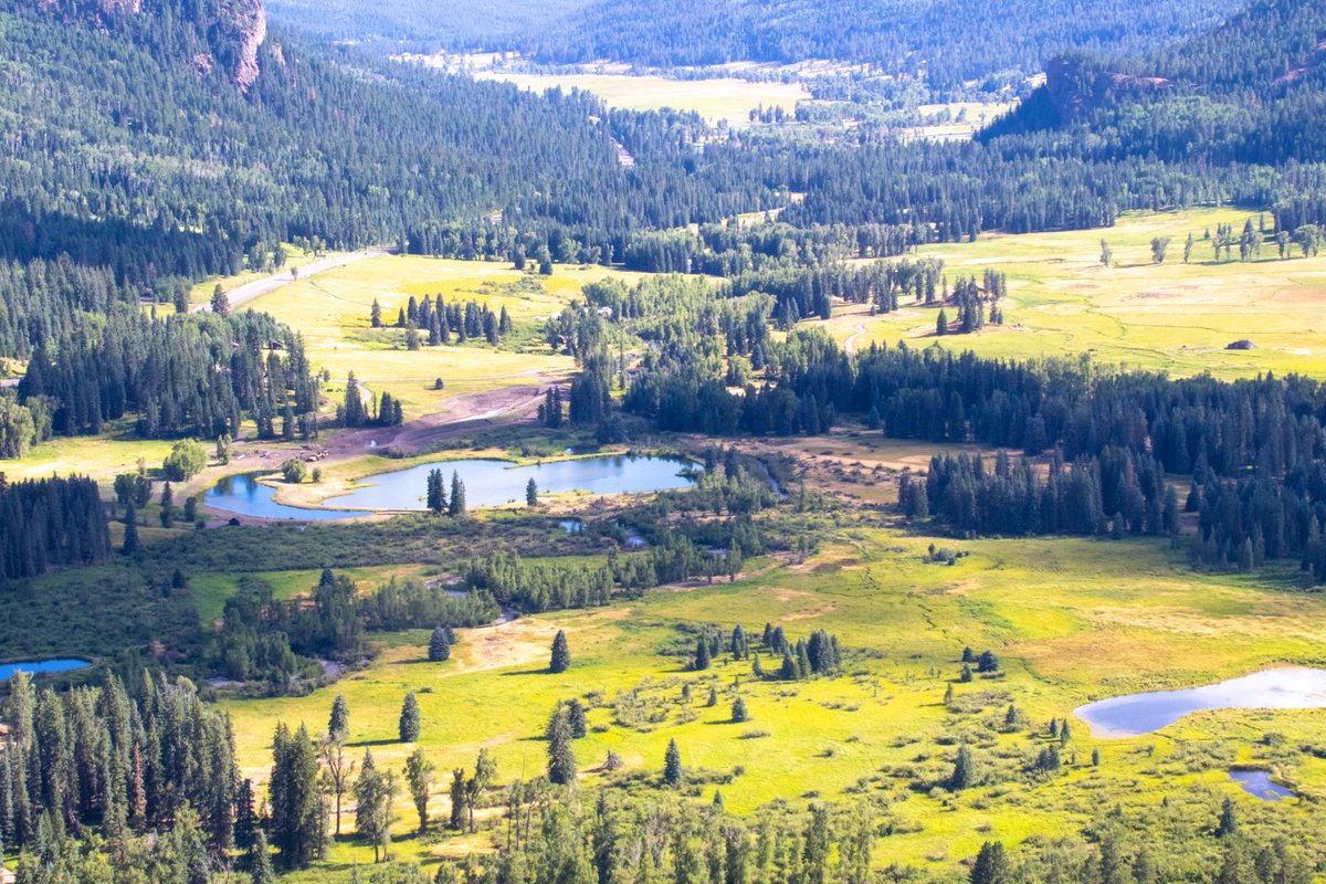 Beyond_Photog's tweet photo. Wolf Creek Overlook, CO
Beautiful view. Colorado never ceases to amaze me.

#NatureBeauty #NaturePhotograhpy #photooftheday #photographer #Colorado #amazingview # https://t.co/adxAdT7Poy