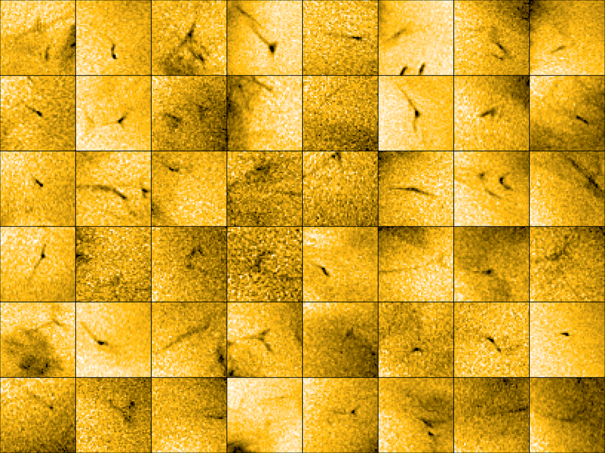ESA's Solar Orbiter (@esasolarorbiter) on Twitter photo šThese short-lived, tiny plasma jets could be the long-sought-after source of the solar wind šÆ
šesa.int/Science_Explorā¦
š· <a href="/EuiTelescope/">EUI telescope</a> šThese short-lived, tiny plasma jets could be the long-sought-after source of the solar wind šÆ
šesa.int/Science_Explorā¦
š· <a href="/EuiTelescope/">EUI telescope</a>