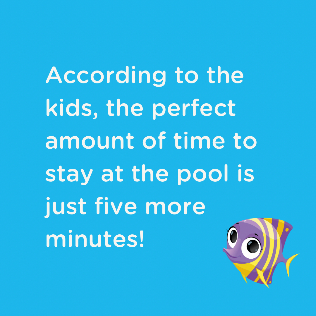 Baby Squids tweet media