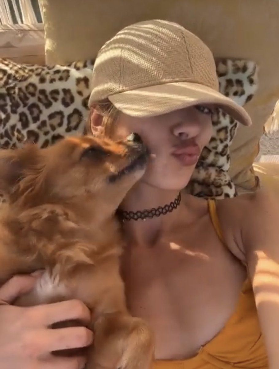 LyonKatia's tweet photo. L’amore che dona un cane non ha eguali e mi sciolgo ogni volta che vedo loro due in love ❤️#simbah & @Soleil_stasi 🥰🐶🔗🥰 #SoleArmy https://t.co/3sKY9IWuUz