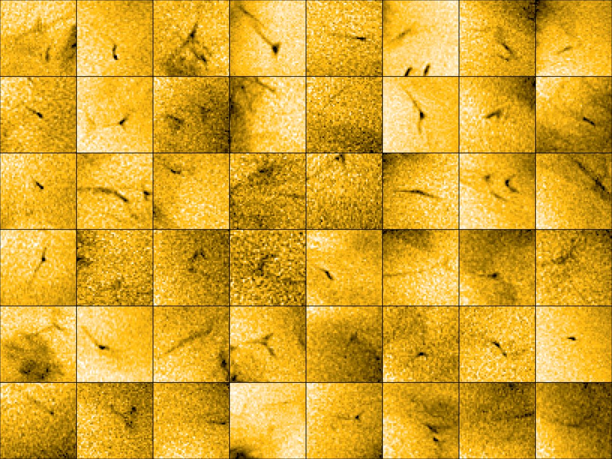esa's tweet photo. 🆕 The ESA/NASA #SolarOrbiter spacecraft has discovered a multitude of tiny jets of material escaping from the Sun’s outer atmosphere - these jets could be the long-sought-after source of the solar wind 👇https://t.co/G4MFrh8d0q https://t.co/SztsvyOr5h