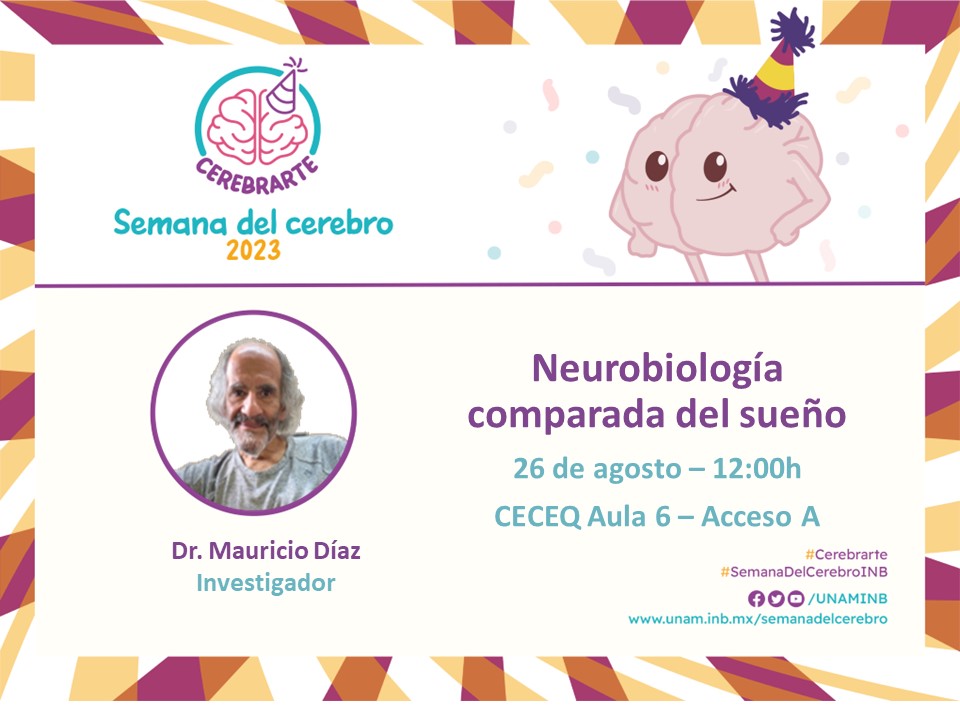 Mañana es #SábadoDeNeurociencias ¡No te duermas! ¿O sí? 🧠
Platiquemos sobre cómo se ha adaptado nuestro cerebro para el #sueño😴 al explorar lo que pasa en otras especies cuando duermen 🐟🐭🐵
📅 Agosto 19,12h
💭 "Neurobiología comparada del sueño"
📍 <a href="/CECEQGomezMorin/">Centro Educativo y Cultural Manuel Gómez Morin</a>
#30AñosINb