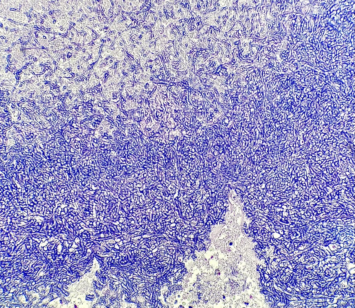 Nathan McGrath tweet media