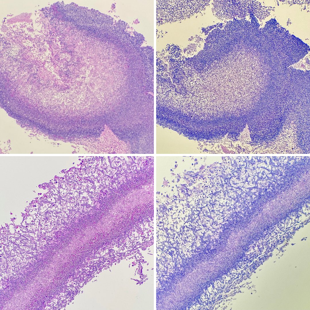 Nathan McGrath tweet media