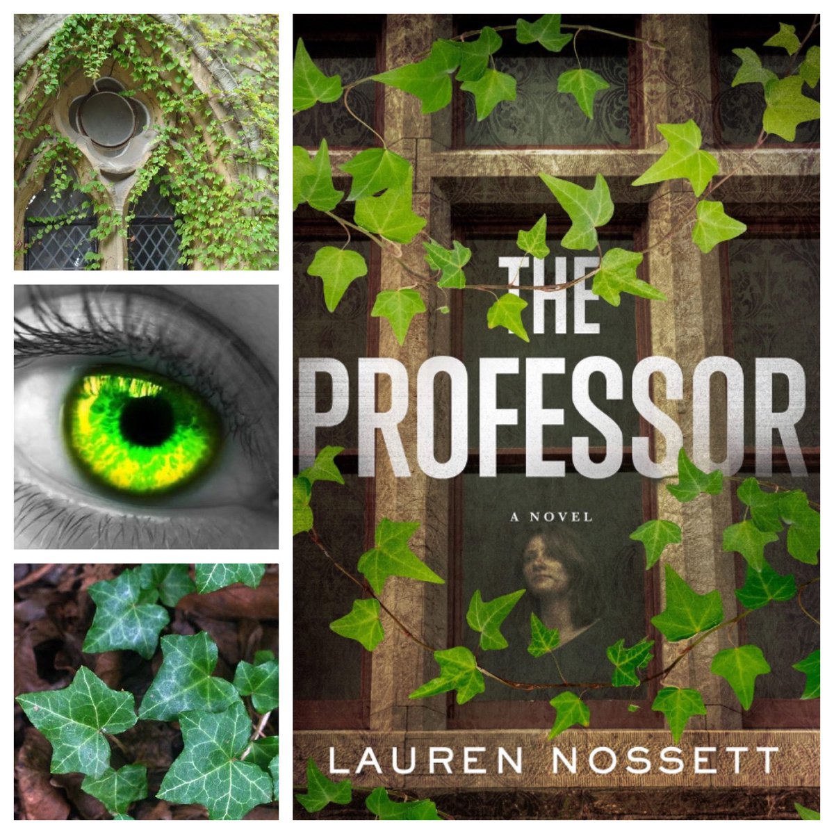 Thanks to #FlatironBooks for the preview of #LaurenNossett ‘s #TheProfessor coming in November. I enjoyed her last campus mystery #TheResemblance and I’m thrilled that Marrit Kaplan is back! #NetGalley #BookTwitter