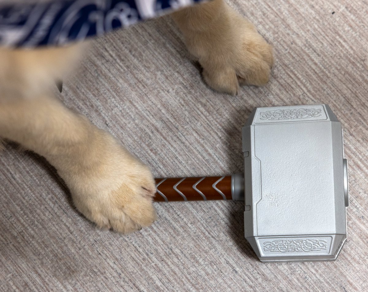 Penn State Health tweet media