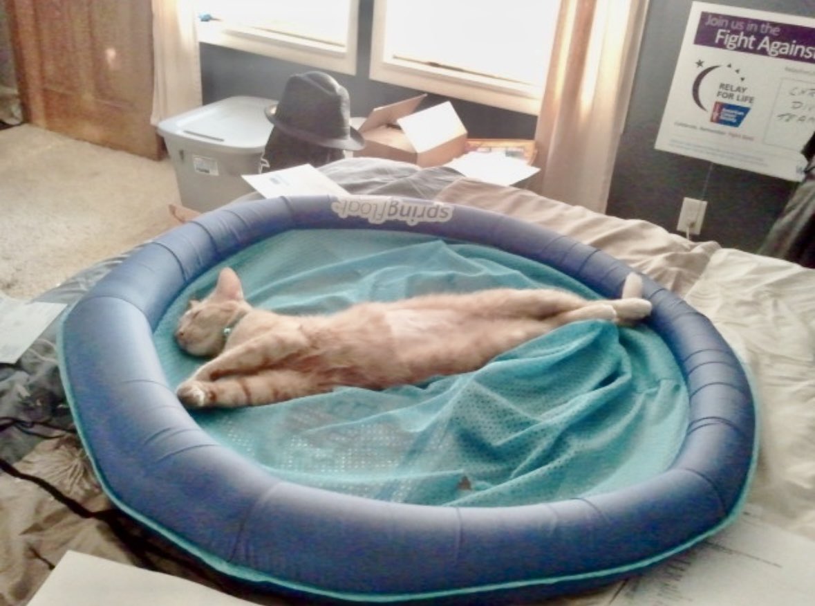 Nalabear39's tweet photo. Throwback to when she first came home August 2012 https://t.co/rtvMa0FDBr