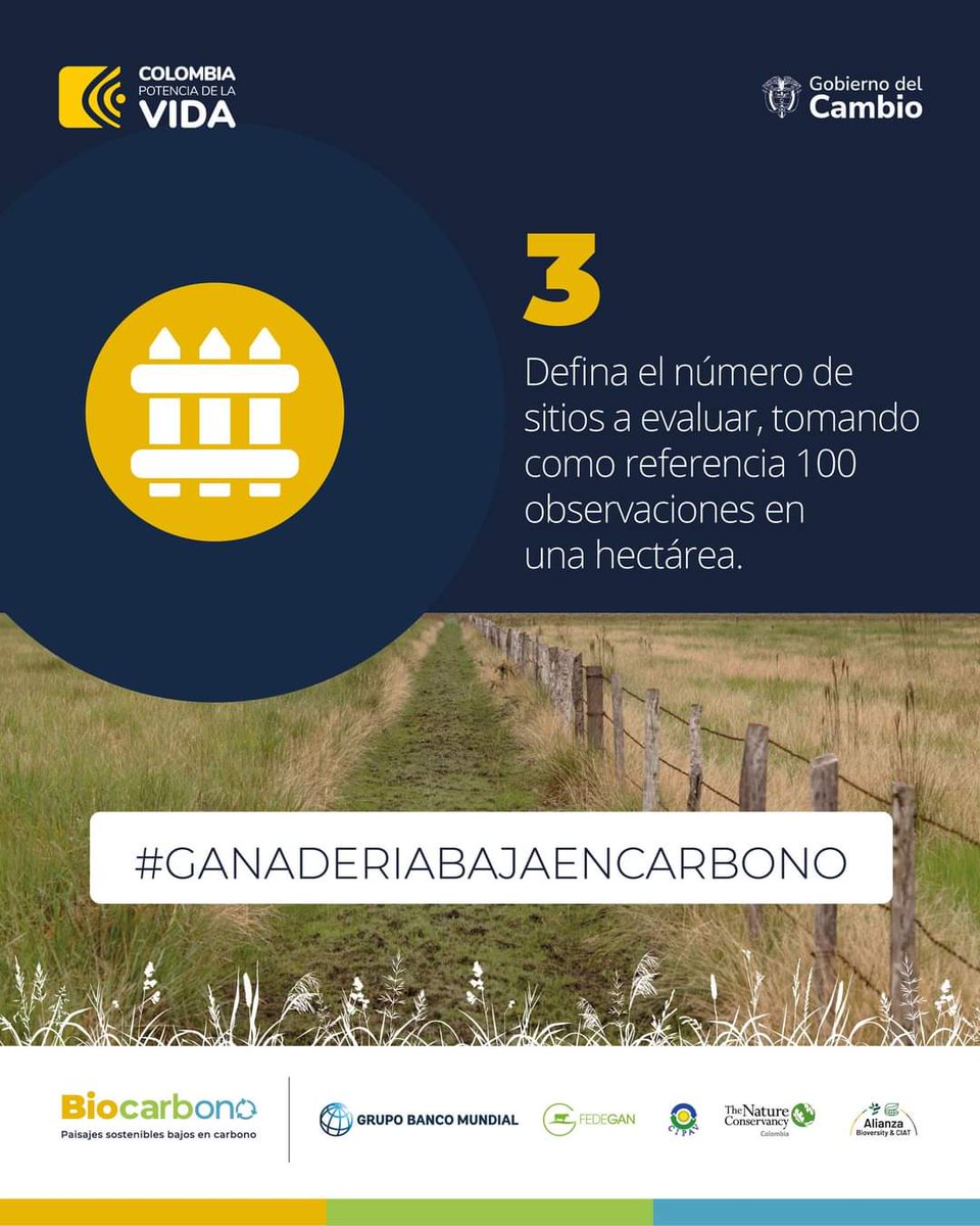 Tapia_Nadir's tweet photo. #GanaderíaSostenible Aforar es uno de los pasos para realizar una correcta planificación forrajera. Esto le permitirá determinar la capacidad de carga y el tamaño de cada potrero.
Le contamos cómo hacerlo
Lideran: FEDEGÁN @TNC_Col Bioversity Ciat #CIPAV
@Fedegan @jflafaurie https://t.co/1NaArxQ7Sh