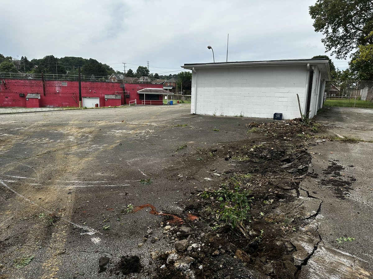 Dr. Sue Mariani tweet media