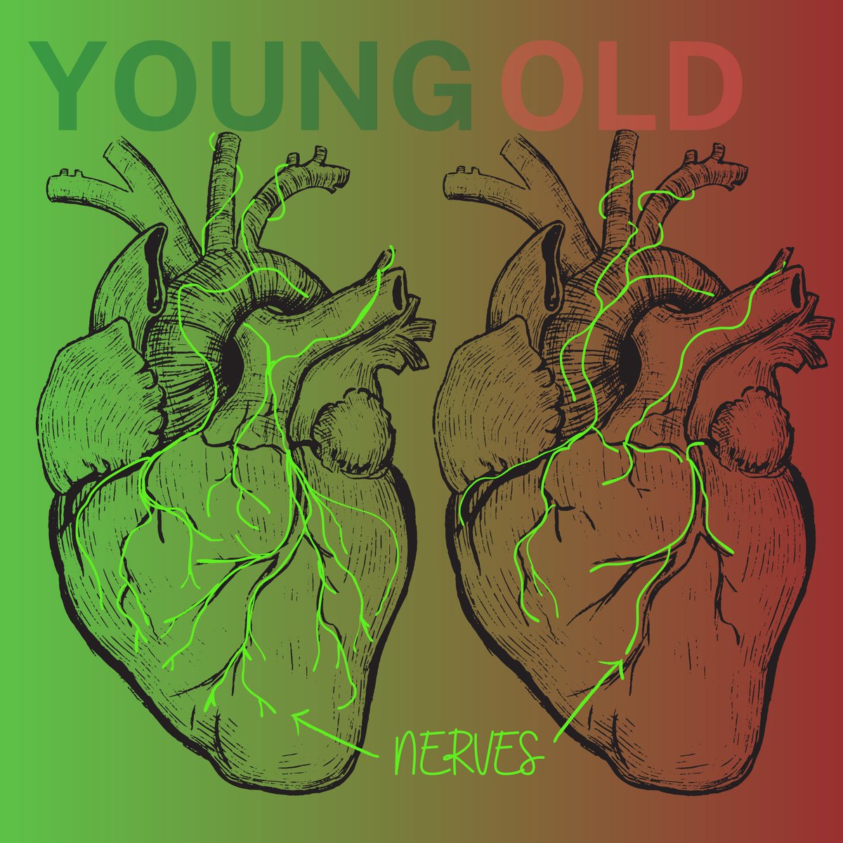 🚨#PaperAlert

When the heart loses its nerve:  
New study just published in <a href="/ScienceMagazine/">Science Magazine</a> from <a href="/StefanieDimmel1/">Stefanie Dimmeler</a> and <a href="/JulianW27954793/">Julian Wagner</a> <a href="/goetheuni/">Goethe-Universität</a> shows how aging decreases neuronal innervation at the heart which makes it difficult to respond to stress.
science.org/doi/full/10.11…