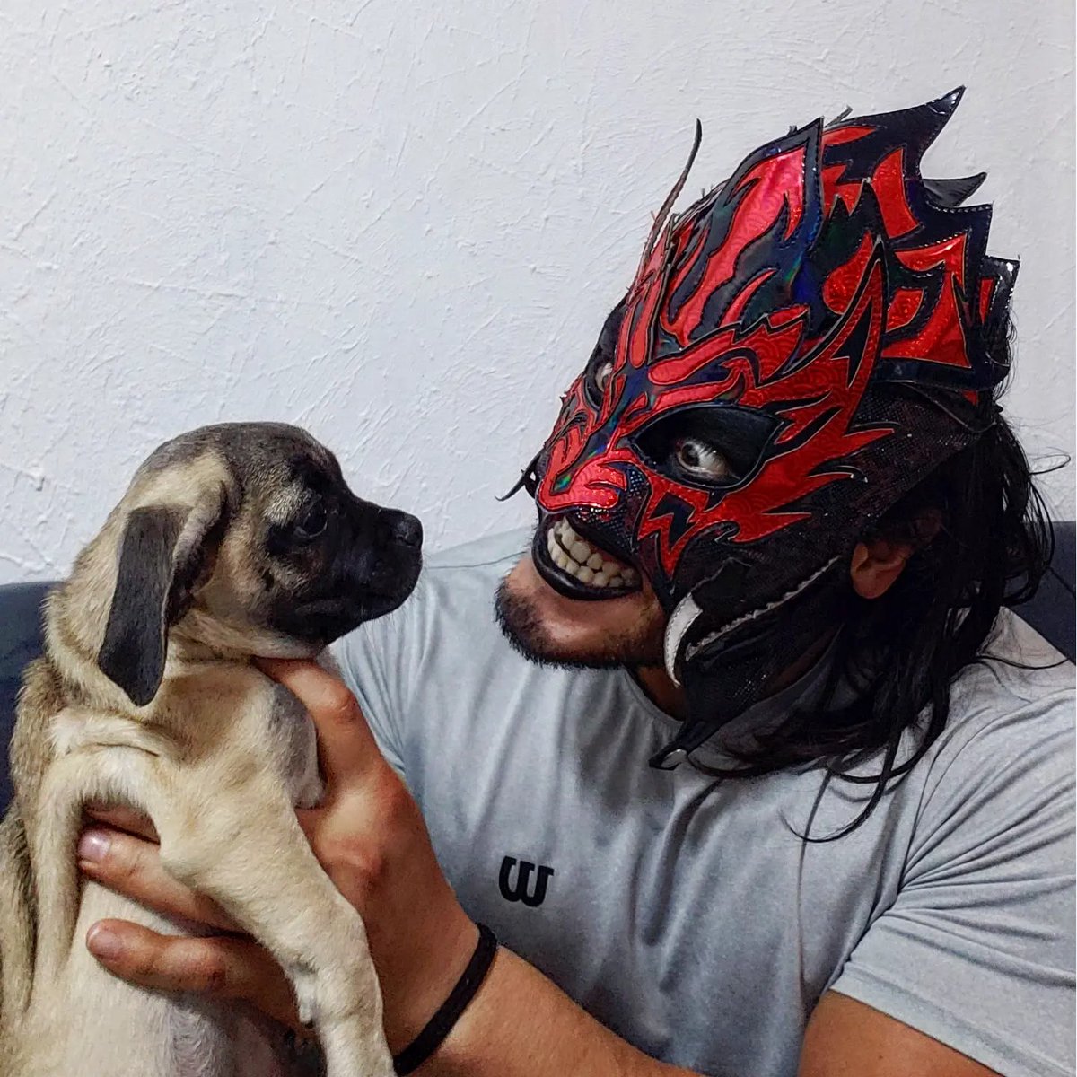 El_elementalmx's tweet photo. La única con la que no puedo ser tan rudo 🥰🐶
Ella es #LaFeli https://t.co/4aErDtxnk2