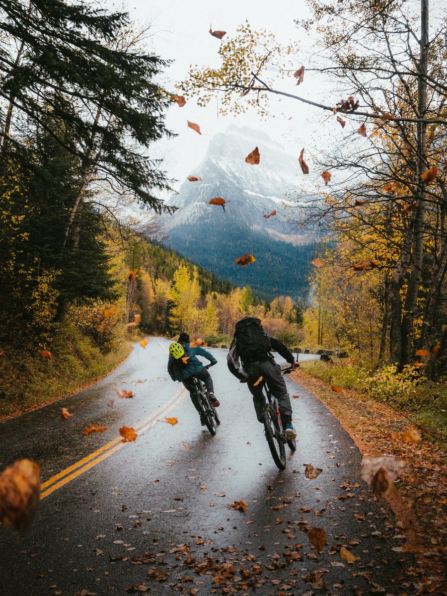 Justin D Kauffman tweet media