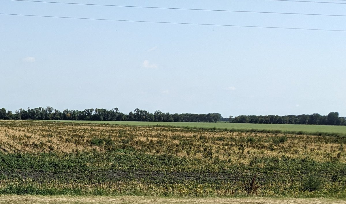 Dry Bean World Inc tweet media