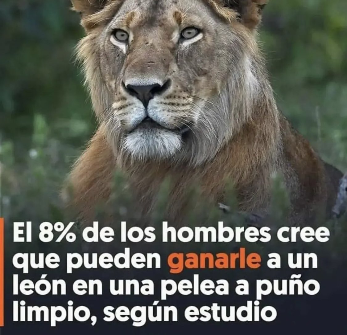 quien coño está bajando la media (yo puedo con dos)