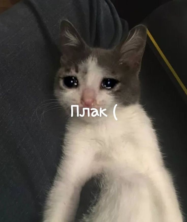 n_oks's tweet photo. Вакансию, на которую я пыталась пройти, закрыли https://t.co/ERglsMw3q6
