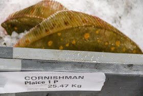 NewlynFishing's tweet photo. Raising her #Dericks on arrival with #FreshCornish Prime🐟 is 'Cornishman' ... as a pair of many #inshore Trawlers & Crabbers led by 'Lamorna' #PascoeBrothers each with Quality #CornishSeafood for #FishFriday #NewlynMkt Auction!...... @Cornishfpo #EatMoreFish https://t.co/xOp9dvOLv6