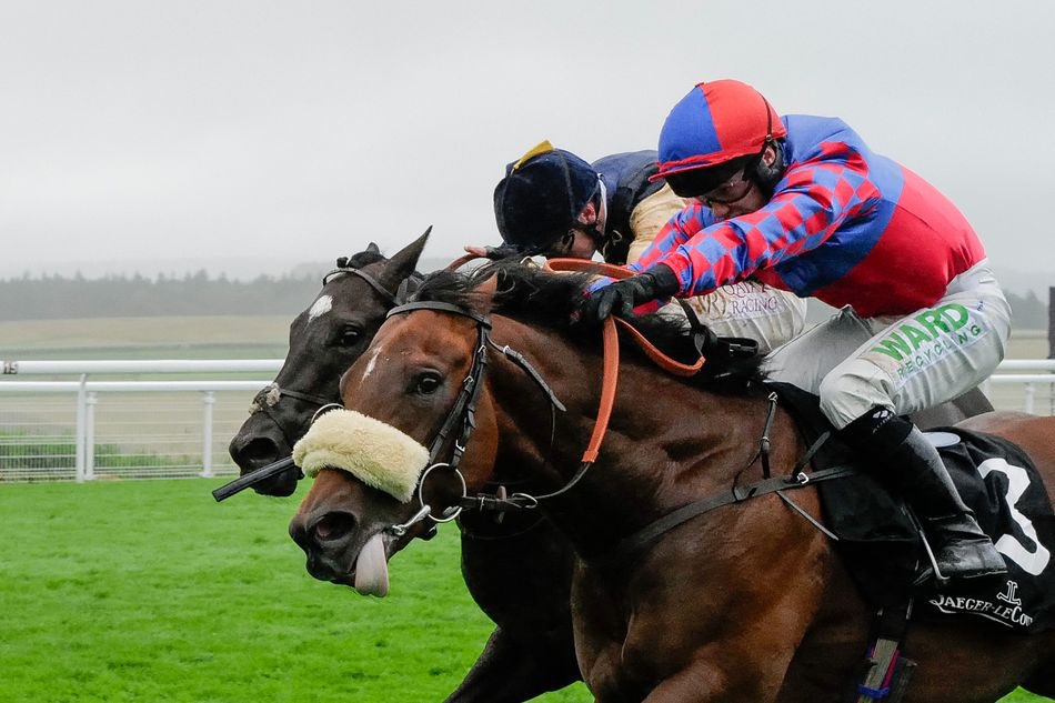 racingdailyapp's tweet photo. Just 5 two year olds have won the Nunthorpe. 

Does Big Evs have a chance tomorrow?

Connections of the Windsor Castle &amp; Molcomb winner opted to pay the £40k supplementary fee to run him in the race. 

Bookies rate him a 7/1 shot for tomorrow’s big race. https://t.co/78aFrpxlzW