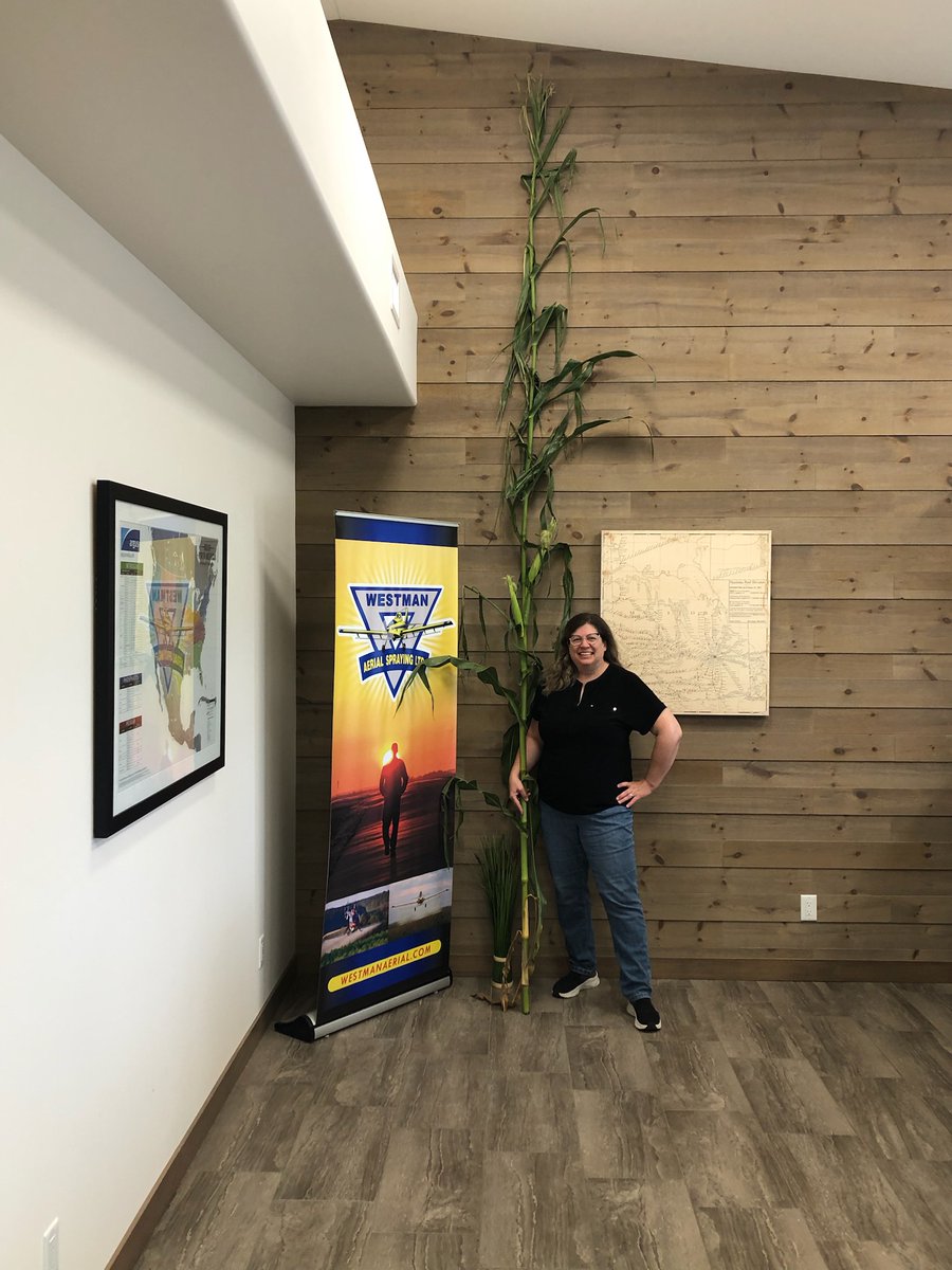 Jill Ransom tweet media