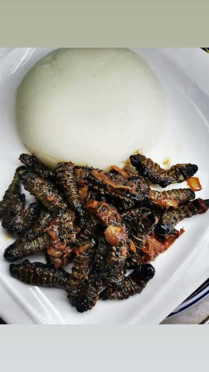 Munaka_Wamani's tweet photo. ๐: Pretoria East "Silverton"
๐:Nationwide courier
๐:0727624228 /0815724879
#Vendatwitter #VhuvhambadziDrive #DjSbu #MopaniWorms #GirlTalkZA #InCaseYouMissedIt #SkeemSaam #C63sAMG #etvScandal #BRICSSummit2023 #AdvMshololo #MnakwethuHappilyEverAfter https://t.co/dfIoGdhiVp