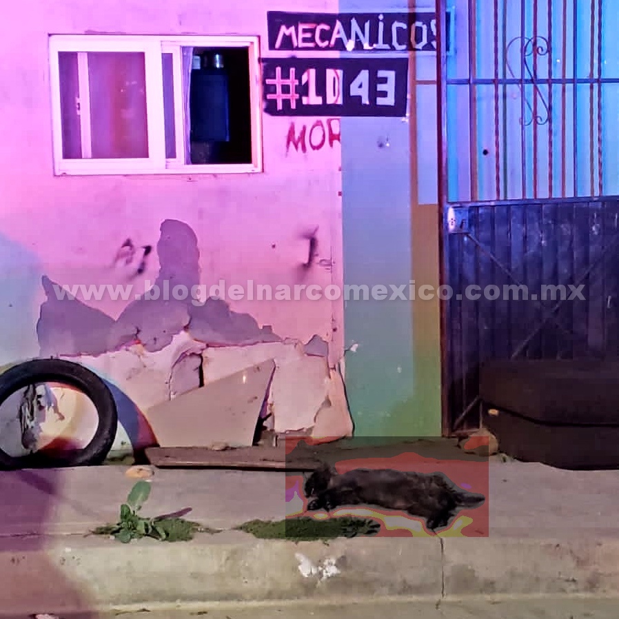 blogdelnarcomex's tweet photo. Justicia para Sofia!.

Sofía es una niña de tan solo ocho años que recibió un balazo por defender a su perrito en Ensenada, Baja California.

Un sujeto disparaba a su perrito cuando la pequeña de 8 años intervino para defenderlo y en respuesta el sujeto le disparó en la pantorrilla, la niña fue trasladada al hospital, su perrito desafortunadamente murió https://t.co/P7jSHFEdup