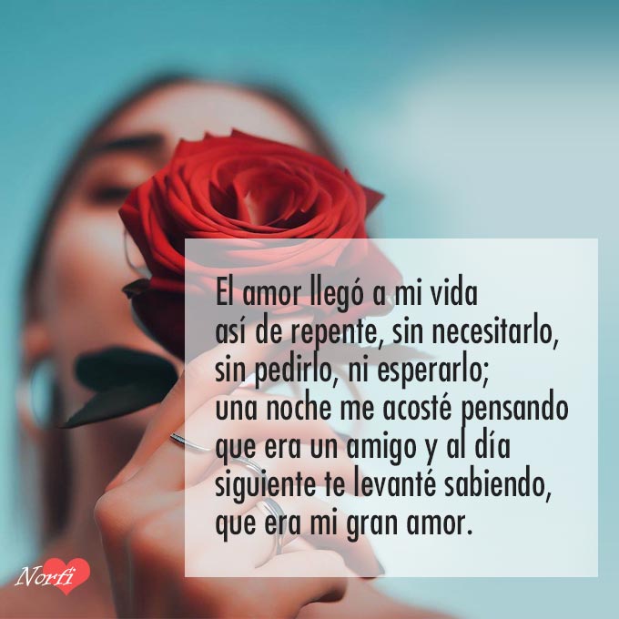 Pensando En Ti Amor De Mi Vida