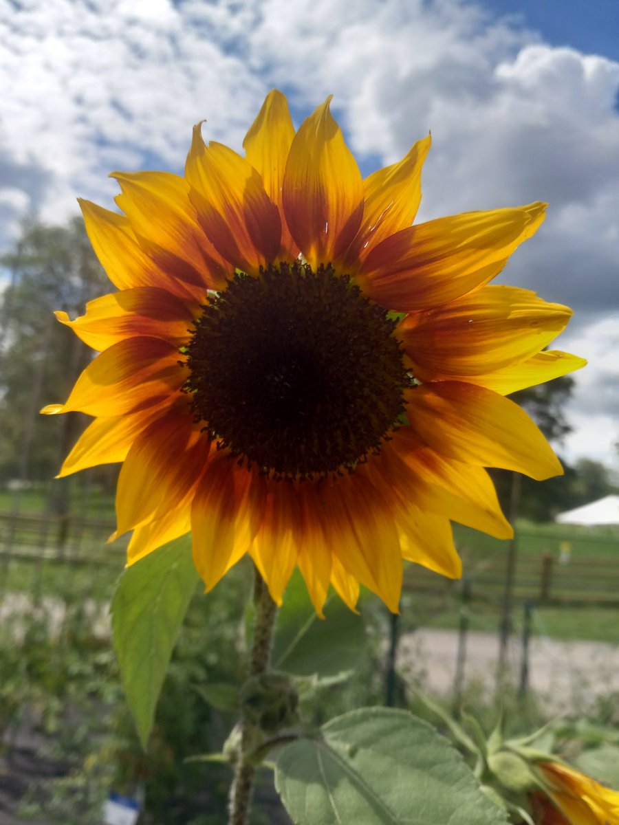 @LakeMetroparks #Farmpark #harvest #autumn #HomeschoolLife