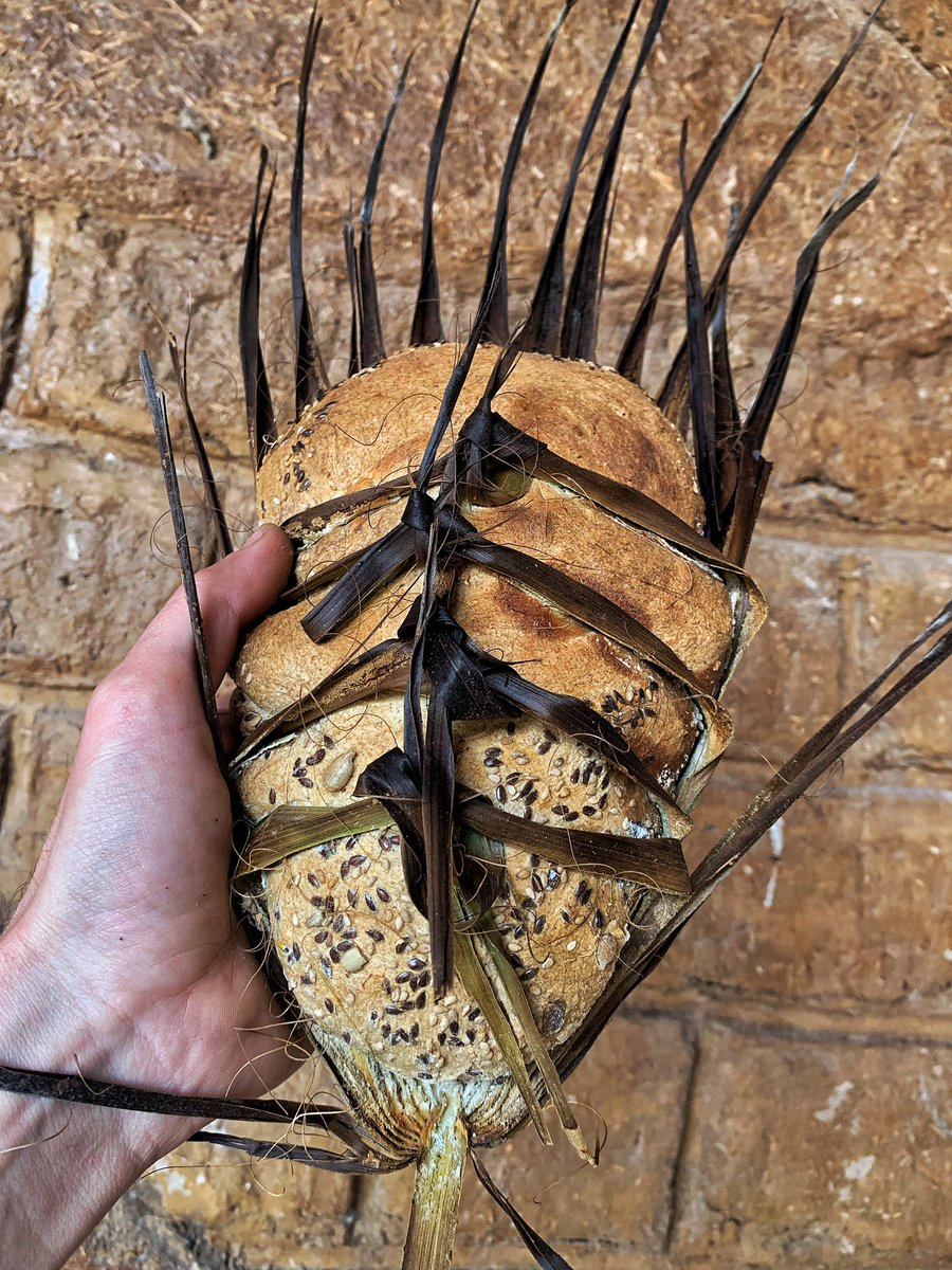 Knead π tweet media