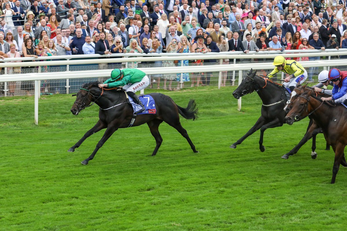 WilliamHaggas's tweet photo. A great day for the team at York as Relief Rally storms to victory in the Group 2 Lowther Stakes and Sea Theme battles bravely to win the Listed Galtres Stakes! Congratulations to all connections! 🏆🐎 #SomervilleLodge https://t.co/zZT2BgRe8w