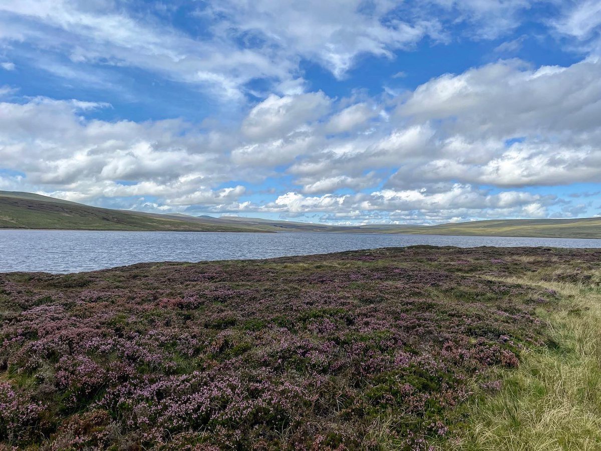 Gorgeous walk up into the Durham Dales today with <a href="/p_auntie/">Auntie P</a>  #lovenature #durhamdales #teesdale #cowgreenreservoir #beautiful
