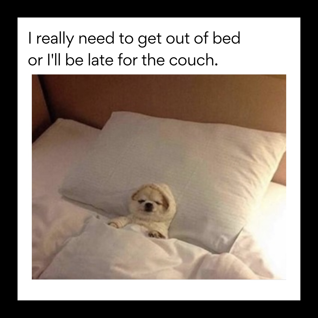 Alpha Foods tweet media