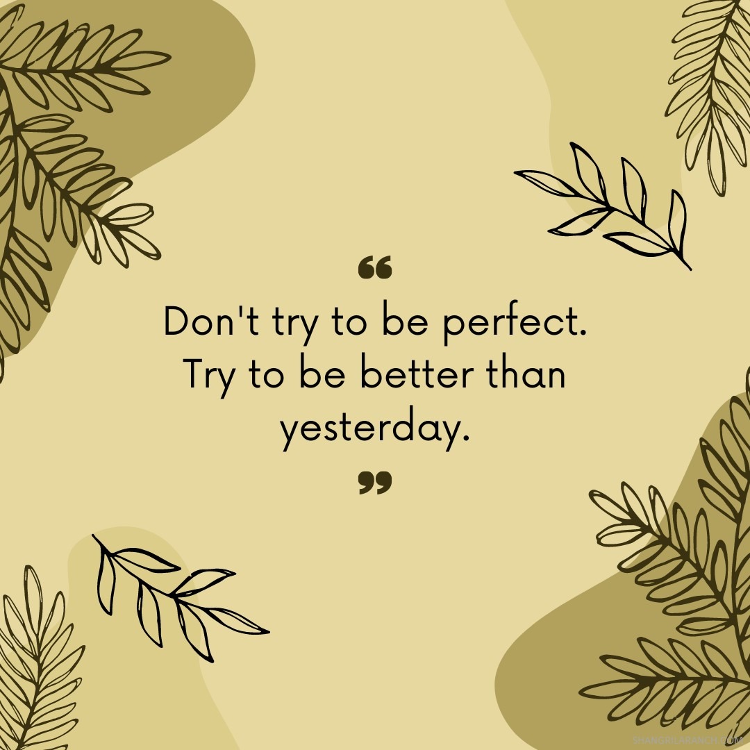 You don't have to be perfect—just strive to be a little better each day. 💪 #BetterThanYesterday shangrilaranch.com