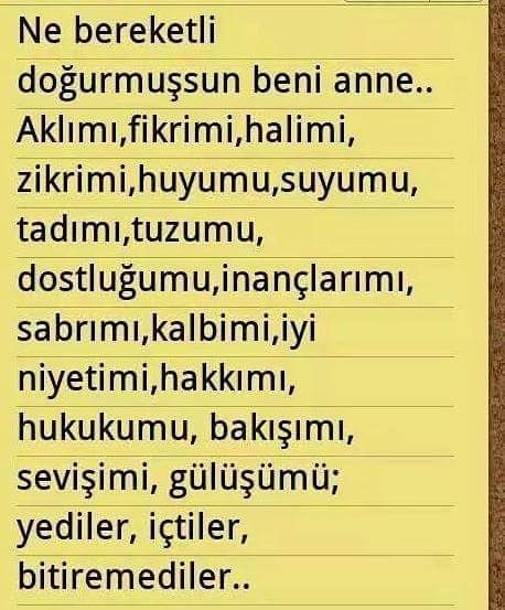 Ziynet Öngider Yakupoğlu. (@ziynet_ongider) on Twitter photo 