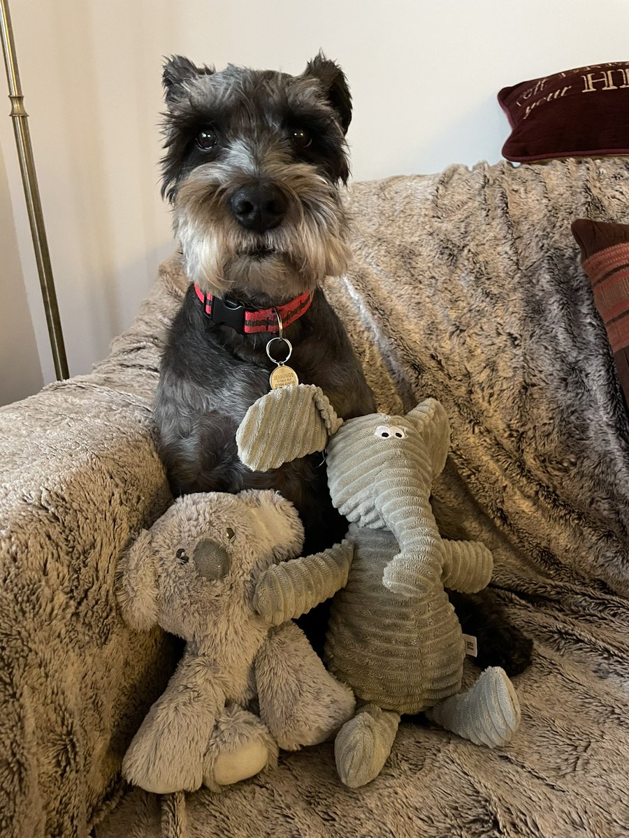 Claudia Money tweet media