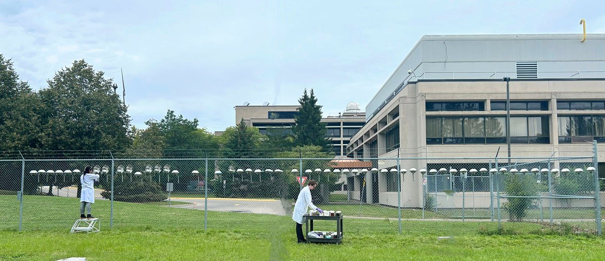 Aman Saini (@amansainee) on Twitter photo <a href="/AcademicTox/">Jon Martin</a> <a href="/ASunyerCaldu/">Adrià Sunyer Caldú</a> The UFOs are up🛸!! A calibration study to assess the comparability of co-deployed three different passive air sampling media and to characterise the new silicone based passive air sampler as a part of ALARM project. <a href="/AcademicTox/">Jon Martin</a> <a href="/ASunyerCaldu/">Adrià Sunyer Caldú</a> The UFOs are up🛸!! A calibration study to assess the comparability of co-deployed three different passive air sampling media and to characterise the new silicone based passive air sampler as a part of ALARM project.