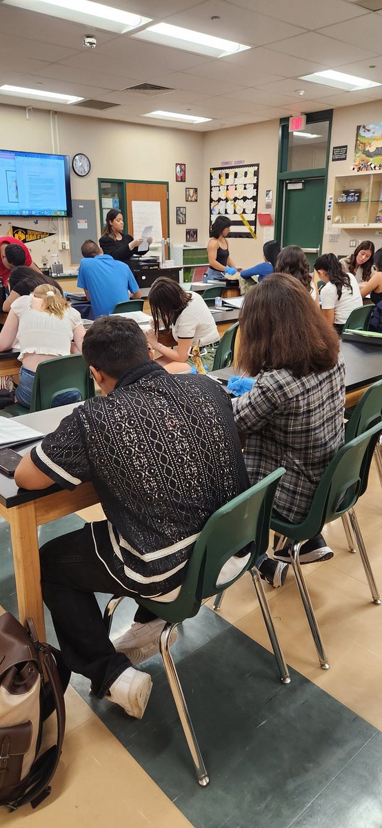Anatomy - dissection practice in Mrs. Juarez's class! #burtonexperience #scallin #schs <a href="/SummitHS_Bears/">SUMMIT COLLEGIATE HIGH SCHOOL</a>