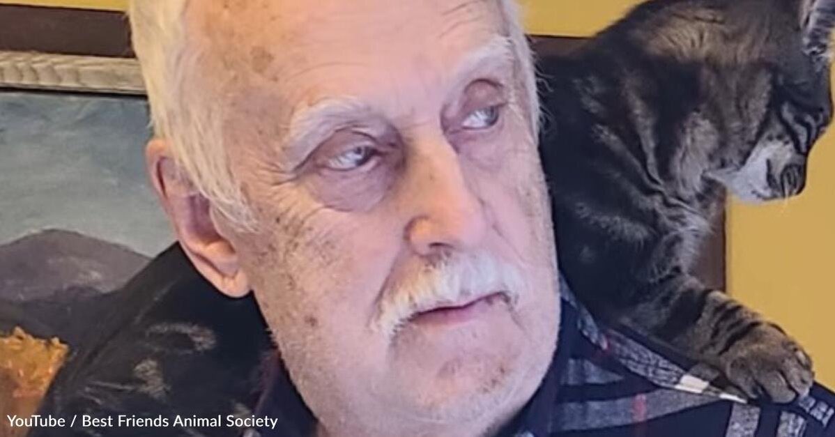 vetswithpets00's tweet photo. Discover the heartwarming story of a #veteran who finds unexpected friendship with a #cat. This touching post explores the profound impact our #feline companions can have on our lives.
#vetswithpets #catowners #catlovers #cats #supportanimals #veterans https://t.co/ylvKGk4iZl https://t.co/RAQ3jA84Ag
