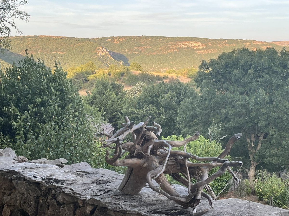 NBurniat's tweet photo. When you raise #thirdculture kids, creating cultural and historical family reference points is essential. For us, one strategy has been going a few times to the #Larzac as I used to do as a child. A remote #France @unesco heritage site, it is a land untamed natural beauty, https://t.co/sQN9E7UWAs